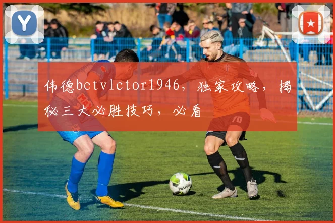 伟德betvlctor1946，独家攻略，揭秘三大必胜技巧，必看