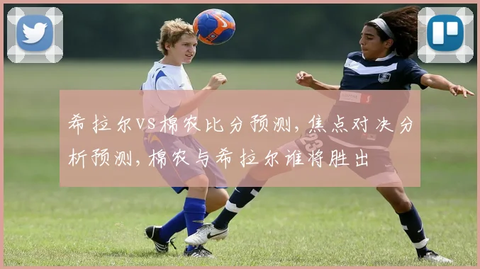 希拉尔vs棉农比分预测,焦点对决分析预测,棉农与希拉尔谁将胜出