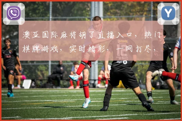 澳亚国际麻将胡了直播入口，热门棋牌游戏，实时精彩，一网打尽，快来参与